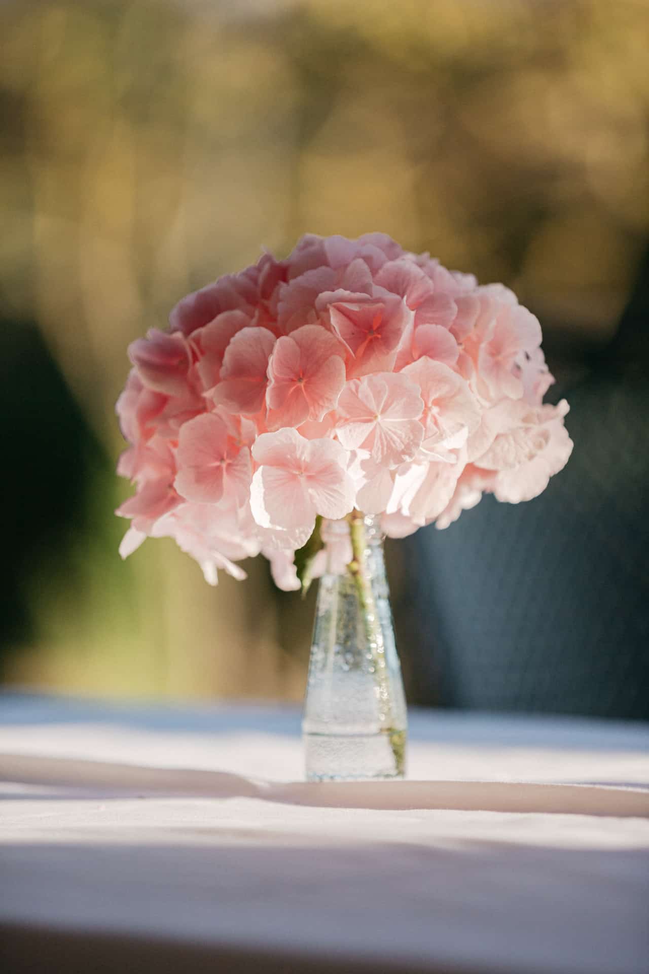 Rosa Hortensien in einer schlichten Glasvase