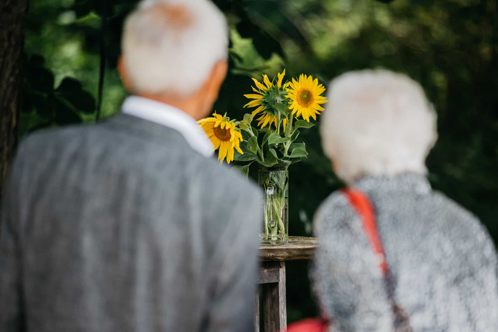 Eine Sonnenblume schmückt den Weg zum Trauplatz.
